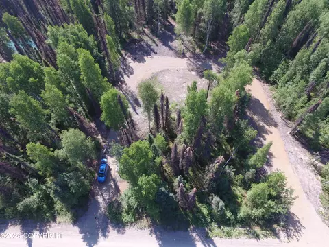 15800 Lichen Dr, Talkeetna, AK 99676
