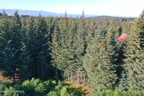 401 Cozy Cove Dr, Homer, AK 99603