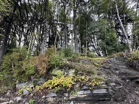 514 Church St, Wrangell, AK 99929 photo 14