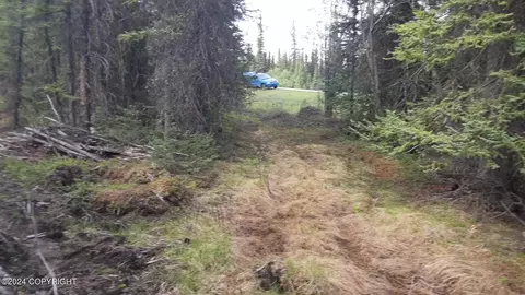 Mile 117.7 Richardson Highway, Glennallen, AK 99588