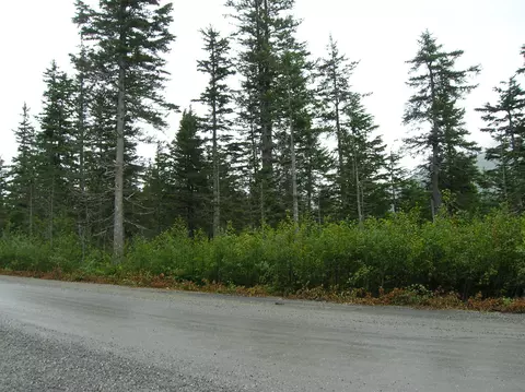 L3 B12 Shotgun Cove Road, Whittier, AK 99693