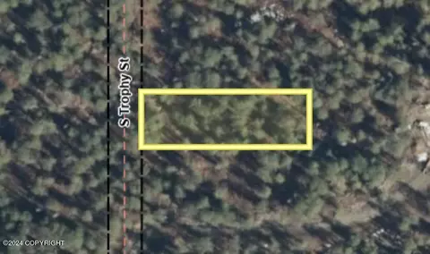 47923 S Trophy St, Willow, AK 99688