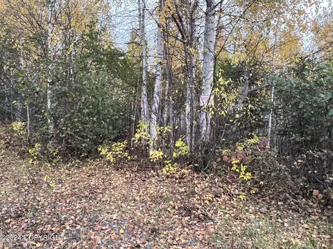 4842 S Horseshoe Lake Rd, Big Lake, AK 99652