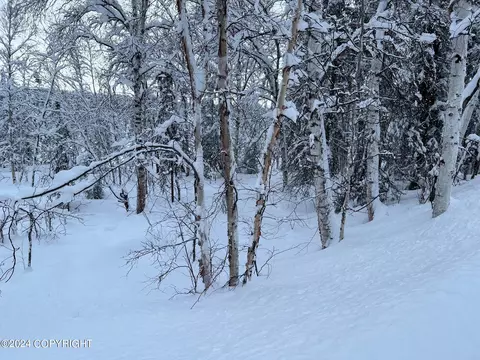 1180 N Amber Dr, Wasilla, AK 99623