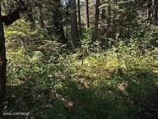 000 Timber Ave, Wrangell, AK 99929 photo 6