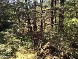 000 Timber Ave, Wrangell, AK 99929 photo 3