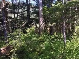 000 Timber Ave, Wrangell, AK 99929 photo 2