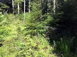 000 Timber Ave, Wrangell, AK 99929 photo 10