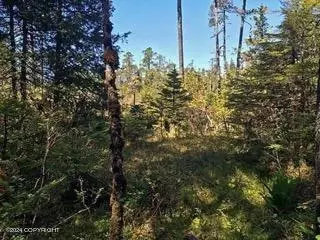 000 Timber Ave, Wrangell, AK 99929