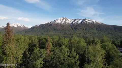 View/Area - 9902 Amchitka Cir, Eagle River, AK 99577 photo 4 of 5