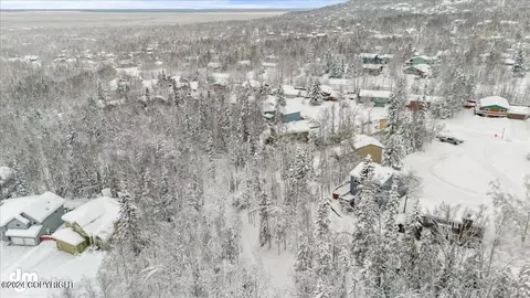 View/Area - 9902 Amchitka Cir, Eagle River, AK 99577 photo 1 of 5