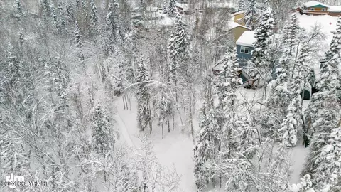 Other - 9902 Amchitka Cir, Eagle River, AK 99577 photo 6 of 13