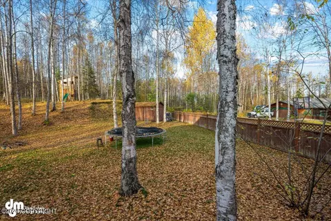 Exterior - 27220 Falcon Dr, Chugiak, AK 99567 photo 18 of 36