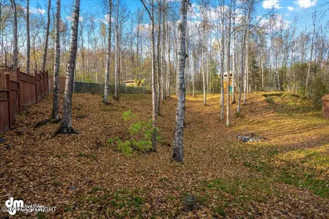 Exterior - 27220 Falcon Dr, Chugiak, AK 99567 photo 20 of 36