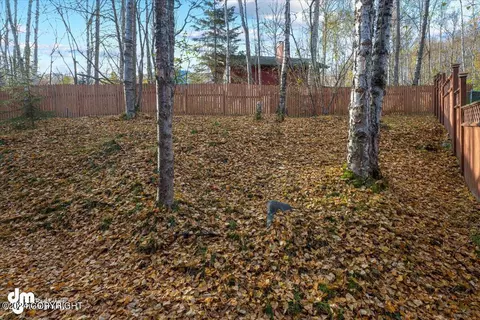 Exterior - 27220 Falcon Dr, Chugiak, AK 99567 photo 14 of 36