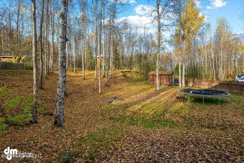 Exterior - 27220 Falcon Dr, Chugiak, AK 99567 photo 21 of 36