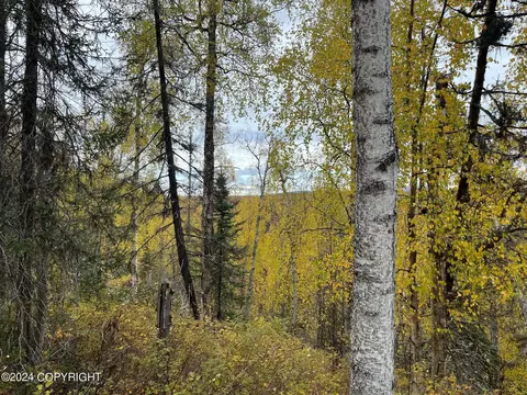 39330 S Malaspina, Talkeetna, AK 99676