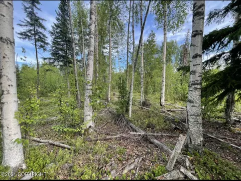 L20 B28 Enchanted Forest, Houston, AK 99623