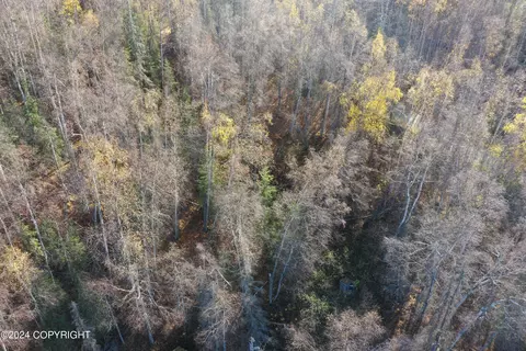 000 S Purinton Pkwy, Big Lake, AK 99654
