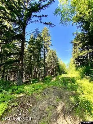 lot A Orchard Subdivision, Haines, AK 99827