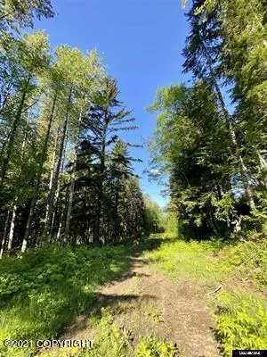 lot B Orchard Subdivision, Haines, AK 99827