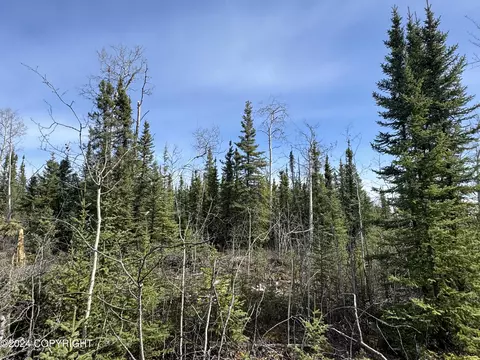 Unk Yukon Avenue, Anderson, AK 99744