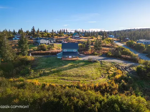 View/Area - 67780 Endless View Loop, Homer, AK 99603 photo 1 of 7