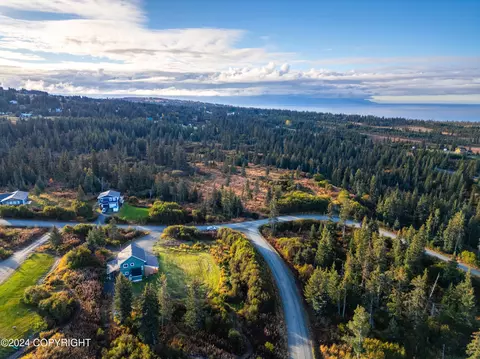 View/Area - 67780 Endless View Loop, Homer, AK 99603 photo 7 of 7
