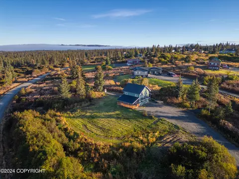 View/Area - 67780 Endless View Loop, Homer, AK 99603 photo 2 of 7