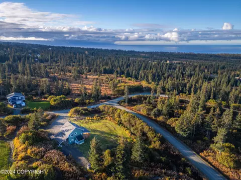 View/Area - 67780 Endless View Loop, Homer, AK 99603 photo 5 of 7