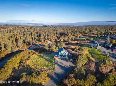 View/Area - 67780 Endless View Loop, Homer, AK 99603 photo 3 of 7