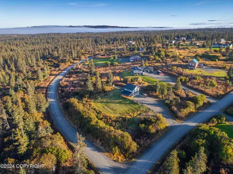 View/Area - 67780 Endless View Loop, Homer, AK 99603 photo 4 of 7