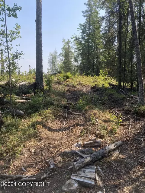 L6 B2 Myla Drive, Soldotna, AK 99669