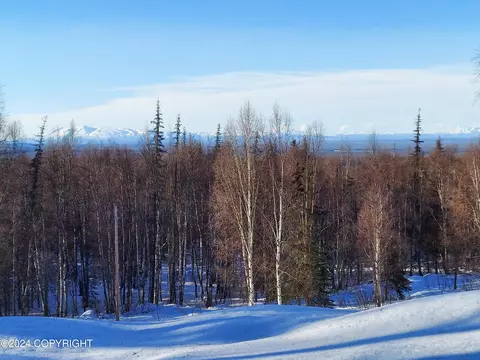 Exterior - 16214 N Bading Ln, Willow, AK 99688 photo 10 of 13