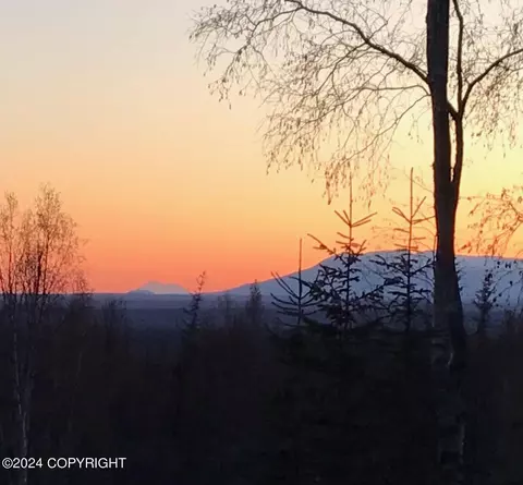 View/Area - 16214 N Bading Ln, Willow, AK 99688 photo 11 of 12