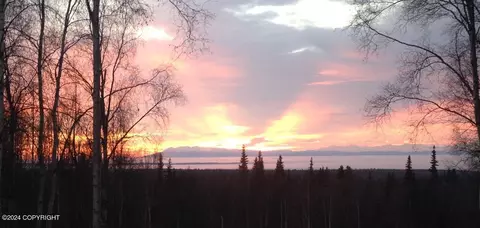 Other - 16214 N Bading Ln, Willow, AK 99688 photo 11 of 11