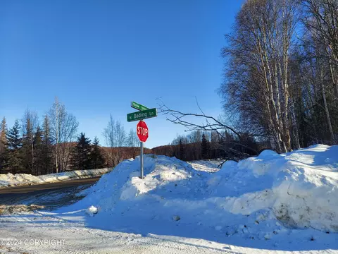 Exterior - 16214 N Bading Ln, Willow, AK 99688 photo 13 of 13