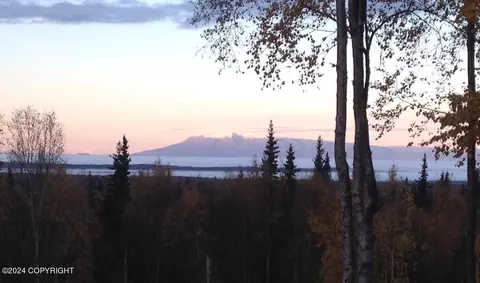 View/Area - 16214 N Bading Ln, Willow, AK 99688 photo 9 of 12