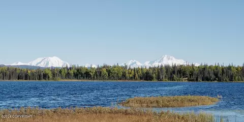 Tr E No Road, Trapper Creek, AK 99683
