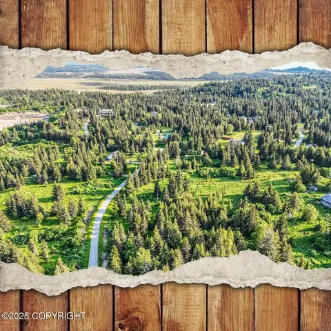 17475 Arcturus Loop, Ninilchik, AK 99639 photo 1