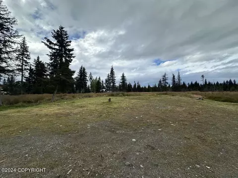 31323 Jodys Bliss Rd, Anchor Point, AK 99556