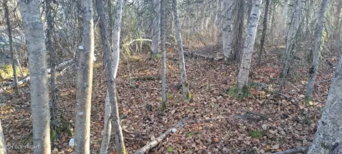 20032 E Tackle Ave, Willow, AK 99688