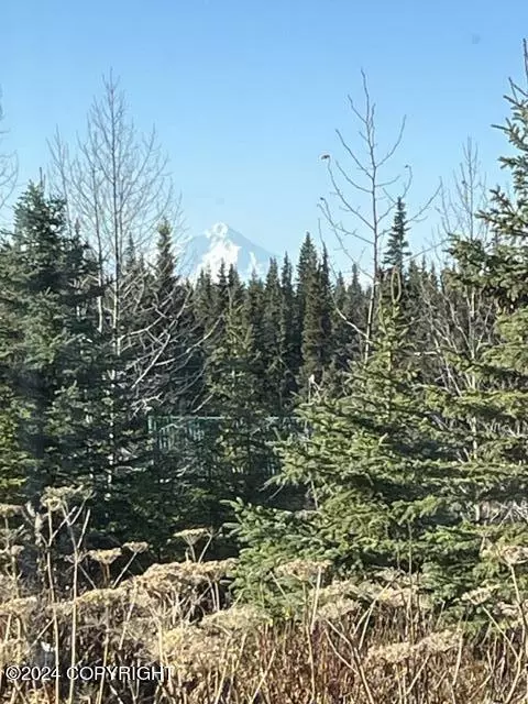 Other - 65449 Lingonberry Rd, Ninilchik, AK 99639 photo 18 of 31