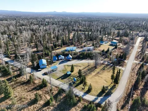 View/Area - 65449 Lingonberry Rd, Ninilchik, AK 99639 photo 2 of 8
