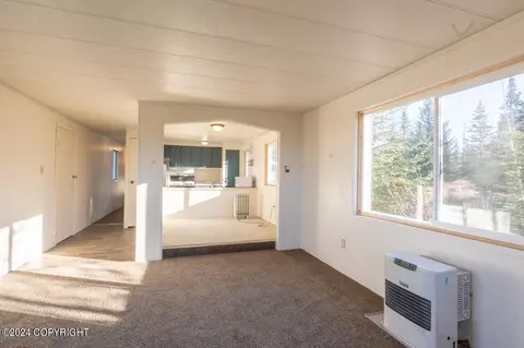 Living - 65449 Lingonberry Rd, Ninilchik, AK 99639 photo 3 of 3