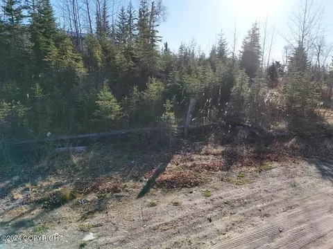 Other - 65449 Lingonberry Rd, Ninilchik, AK 99639 photo 11 of 31
