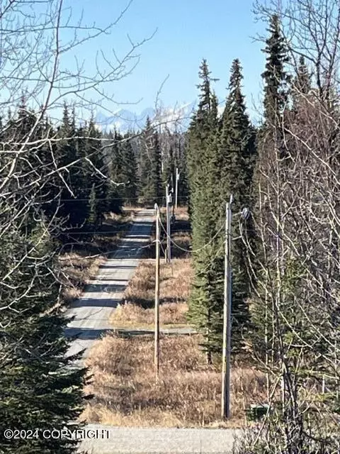 Other - 65449 Lingonberry Rd, Ninilchik, AK 99639 photo 17 of 31