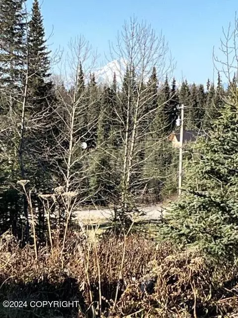 Other - 65449 Lingonberry Rd, Ninilchik, AK 99639 photo 19 of 31