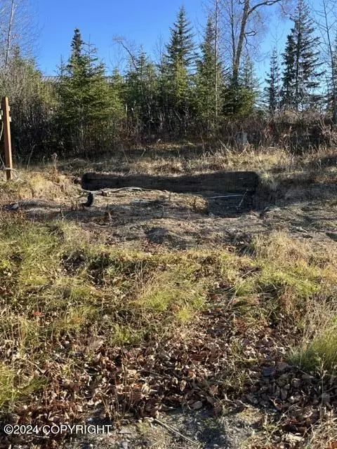 Other - 65449 Lingonberry Rd, Ninilchik, AK 99639 photo 20 of 31