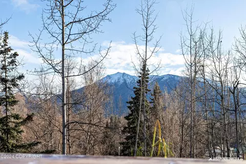 11055 Owhat Cir, Eagle River, AK 99577 photo 41